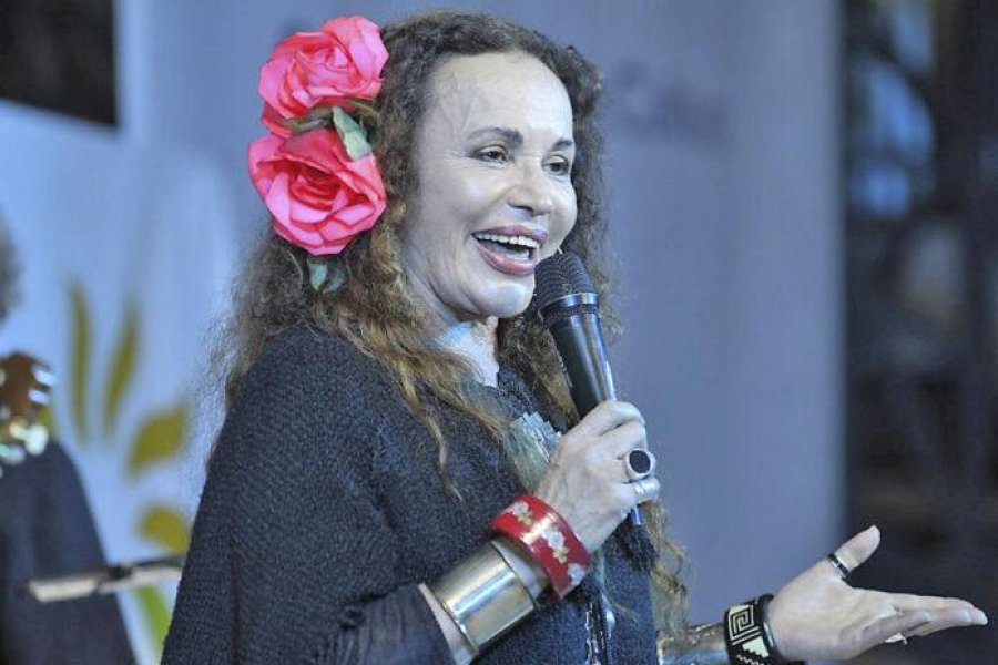 archivo Suna Rocha