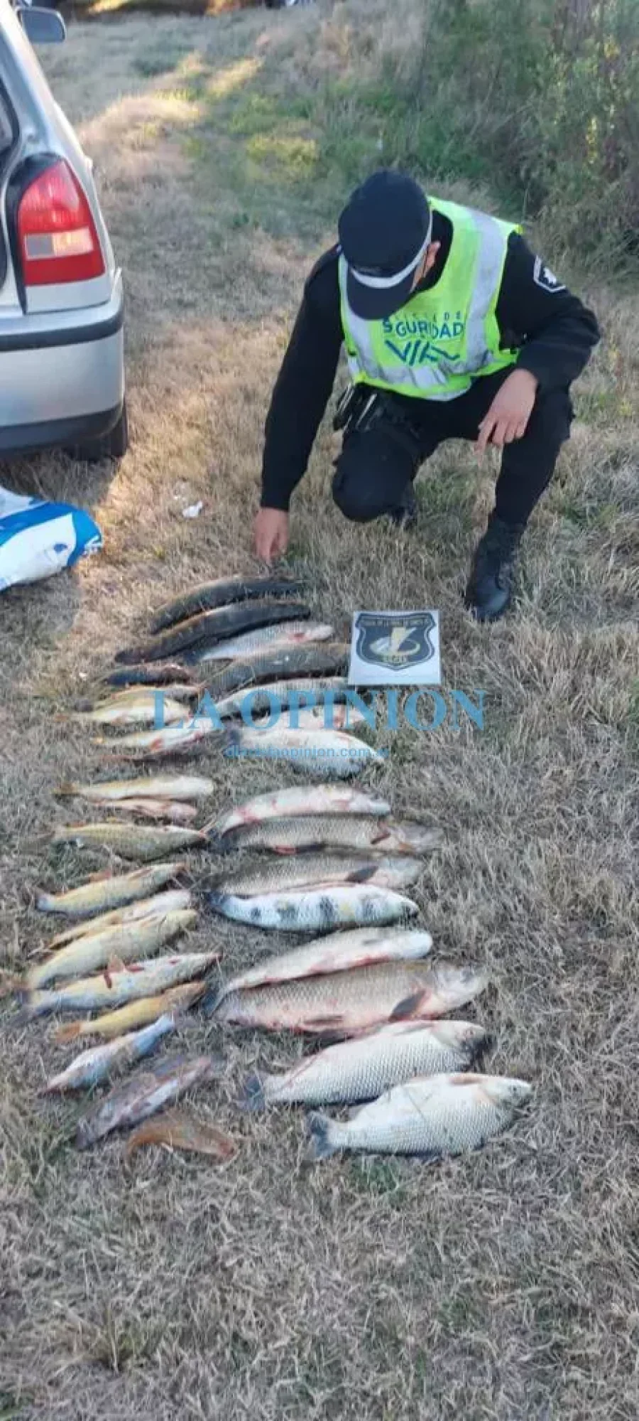 DECOMISADOS. Tras ser hallados en un procedimiento en Cayast&aacute;.