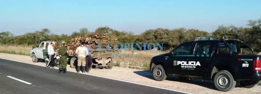 LE&Ntilde;A DECOMISADA.  Era transportada en forma ilegal.
