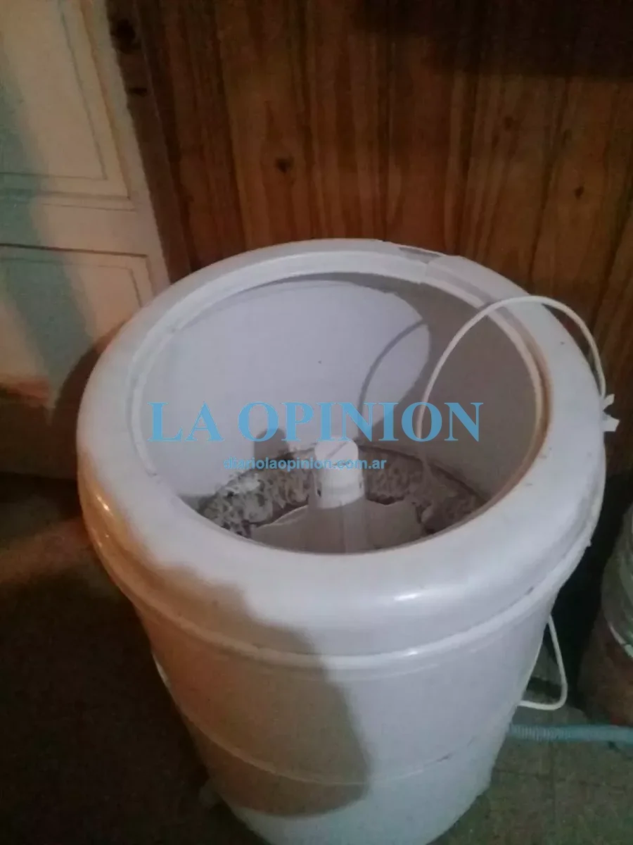 LO SECUESTRADO.  La Polic&iacute;a trata de identificar al propietario.