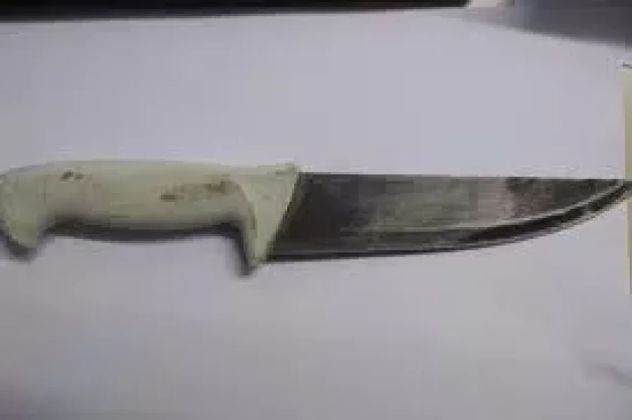 IMAGEN ARCHIVO. SECUESTRADO.  Un arma blanca similar era portada por un sunchalense.