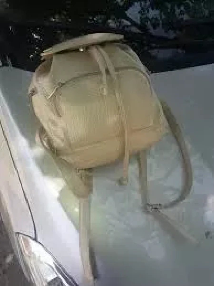 IMAGEN ARCHIVO. CARTERA EN AUTOMOVIL. Una imagen similar, se observ&oacute; antes de cometerse un robo.