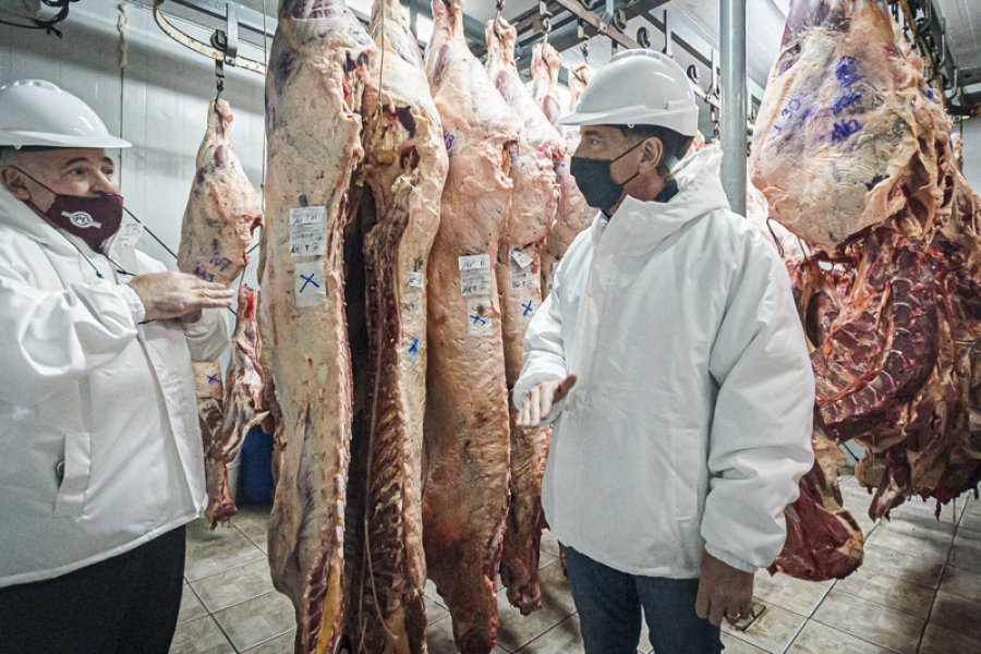 FOTO NA PERJUICIOS. La medida del Gobierno afecta la cadena de la carne.