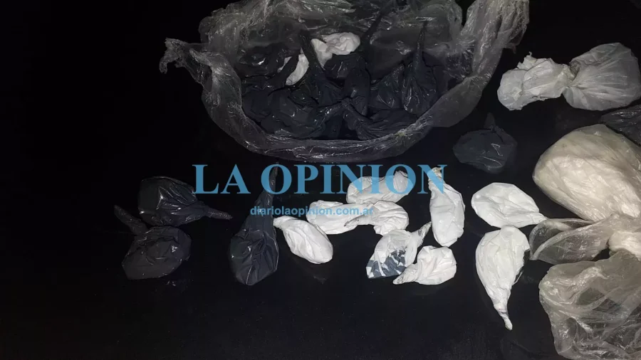 LO SECUESTRADO.  Fue mostrado por la Polic&iacute;a de Villa Minetti.
