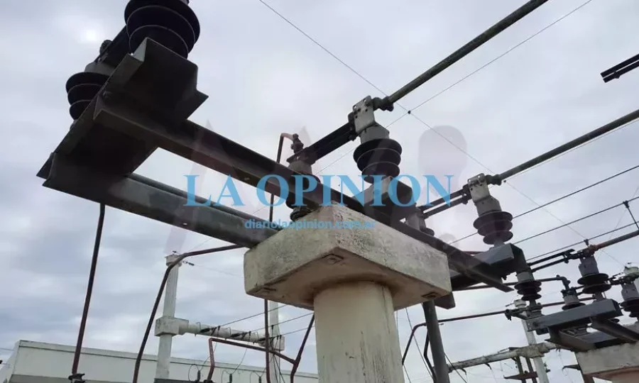 ROBO Y DAÑOS.  Se cometieron en este predio.