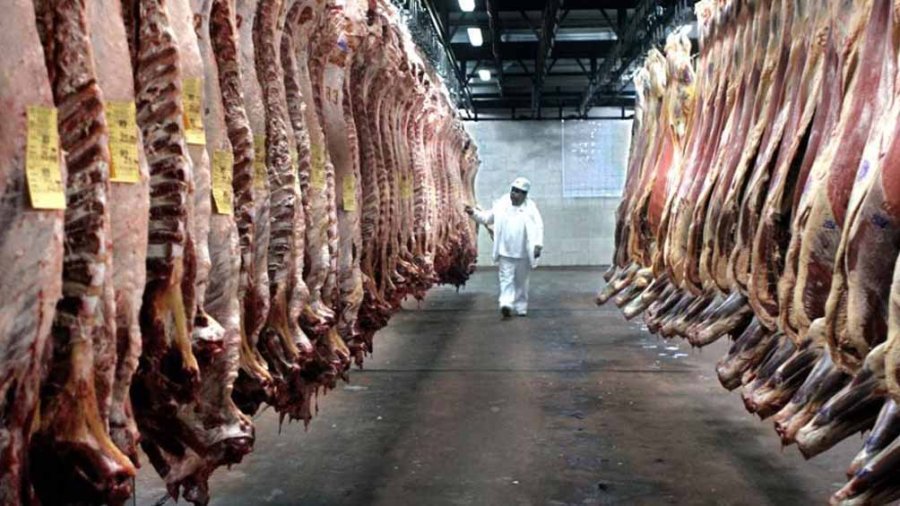 INDUSTRIA. A partir de la medida, muchos frigor&iacute;ficos exportadores tendr&aacute;n mayor actividad.