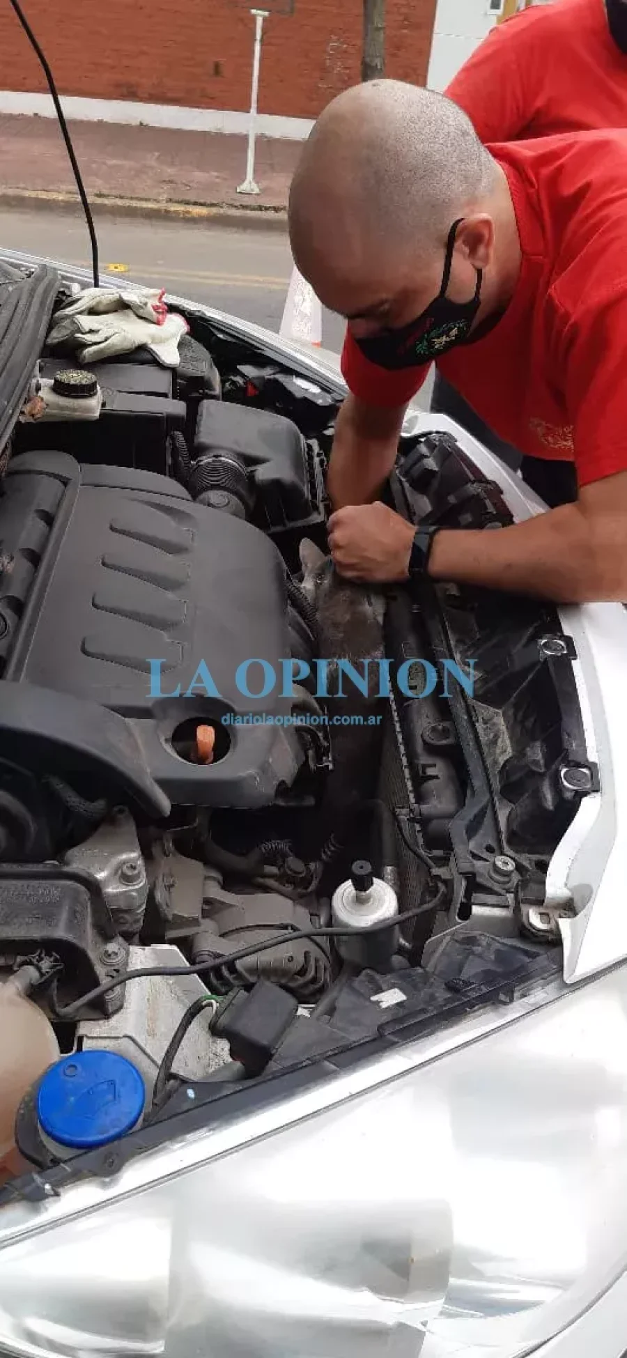 RESCATE. El felino hab&iacute;a quedado atrapado en esta parte del motor.