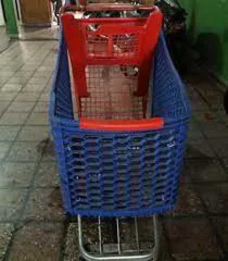 IMAGEN INTERNET. "CHANGUITO".  Un transporte similar fue robado por un joven en esta ciudad.
