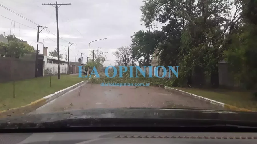 EN JOSEFINA. Parte de lo observado tras un temporal de viento y lluvia.