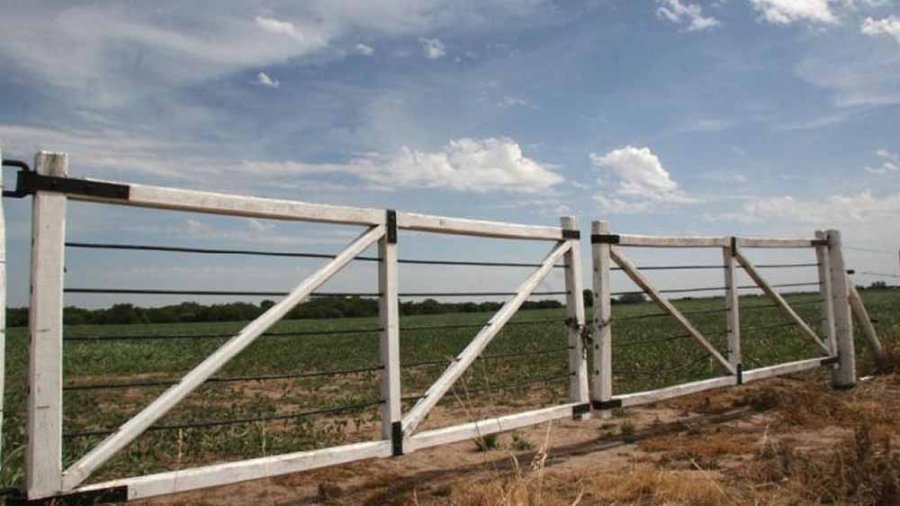 CAMPOS. Este a&ntilde;o, el mercado inmobiliario rural estuvo signado por vaivenes propios del contexto nacional.