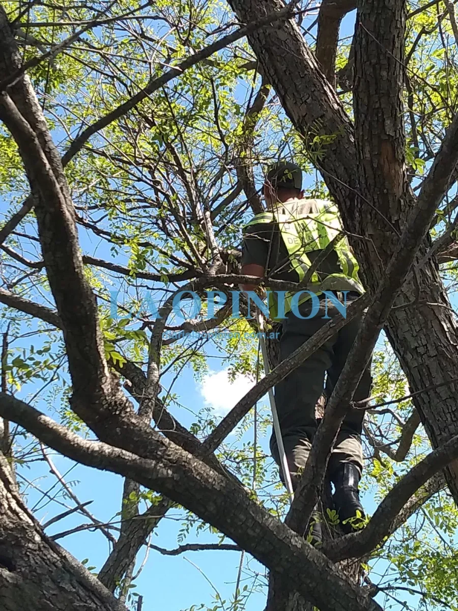 RESCATE. Estuvo a cargo de personal de "Los Pumas".
