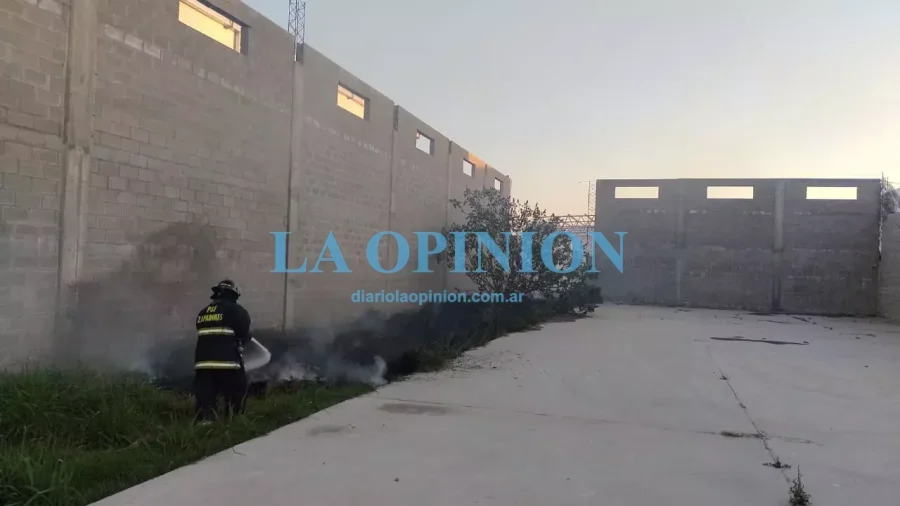INCENDIO DE PASTOS. Fue extinguido por Bomberos Zapadores.