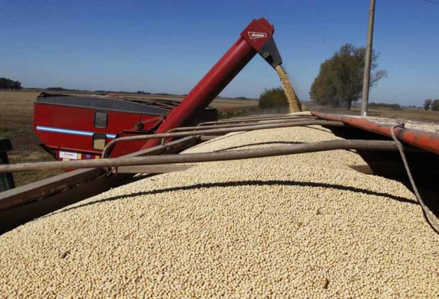 FOTO ARCHIVO AGROINDUSTRIA. La participaci&oacute;n es contundente.