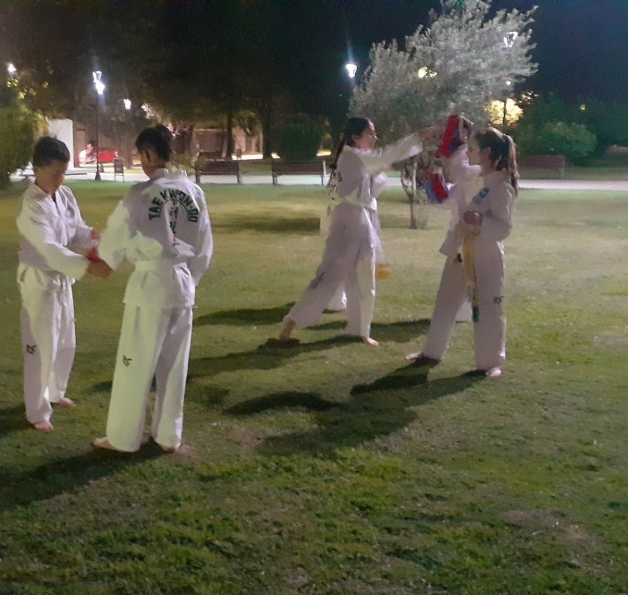 FOTO PRENSA MUNICIPALIDAD// TAEKWONDO. La disciplina est&aacute; a disposici&oacute;n de los suardenses. CORTA C&Eacute;SPED. Fue adquirido un tractorcito para mantener espacios verdes.