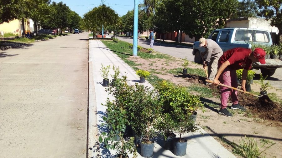 FOTO TACURAL// ARGENTINA HACE.  Se trabaj&oacute; en los canteros centrales de Avda. 9 de Julio.