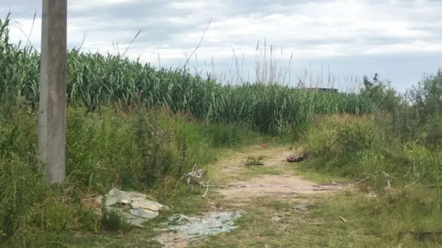 IMAGEN INTERNET. LUGAR DEL HALLAZGO.  En la zona Norte de la ciudad de Rosario.