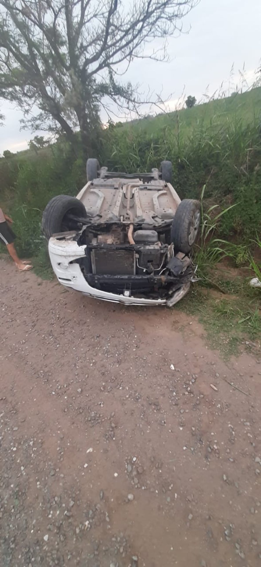 FOTO LA OPINION ESCENARIO. As&iacute; se observ&oacute; al autom&oacute;vil accidentado.