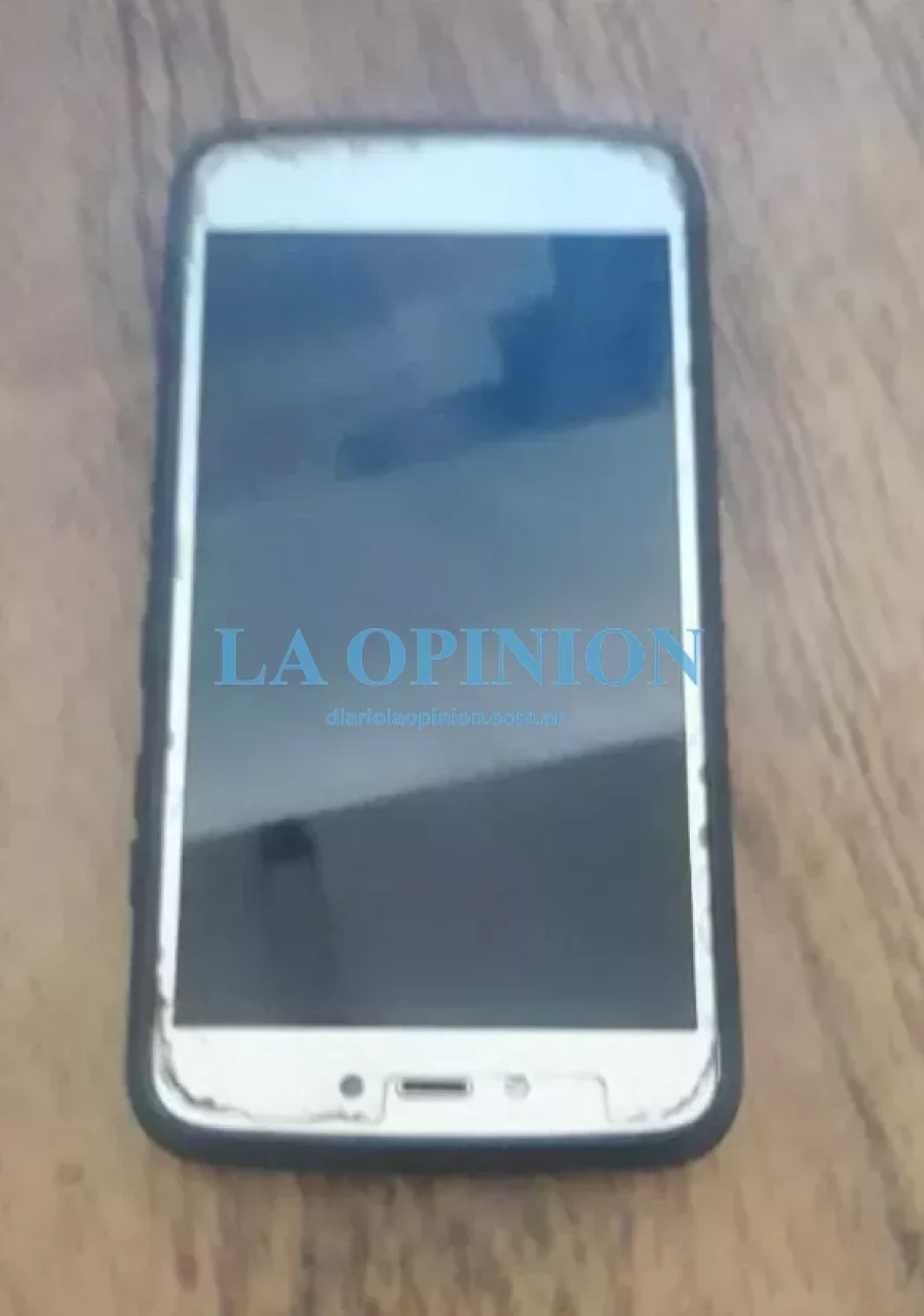 TELEFONO CELULAR. Hab&iacute;a sido robado frente a la plaza 25 de Mayo.