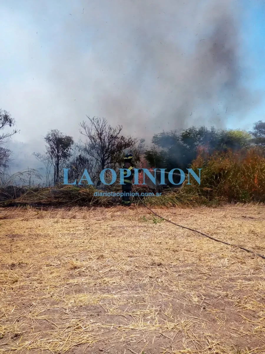 INTENSO TRABAJO.  Fue desplegado por Bomberos, hasta sofocar el incendio.