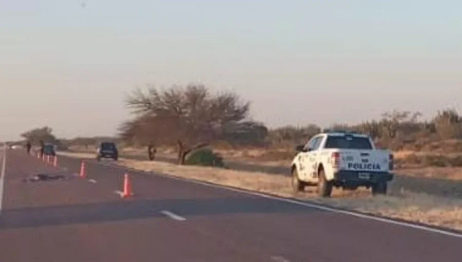 IMAGEN ARCHIVO. ARROLLADO EN LA RUTA.  En similar situaci&oacute;n muri&oacute; un humbertino.