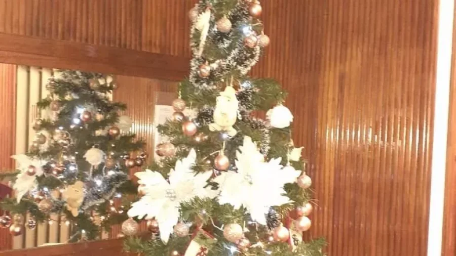 IMAGEN ARCHIVO. ARBOLITO DE NAVIDAD.  Un elemento similar, fue parte de lo sustra&iacute;do desde una casa.