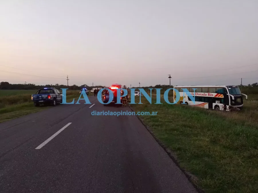 ESCENARIO.  Lo observado a la vera de la ruta nacional 11.