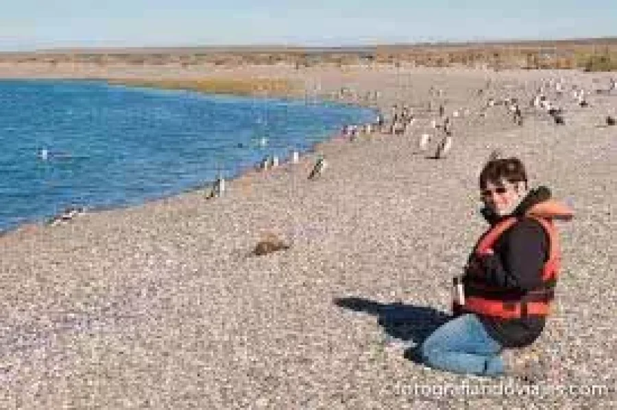 FOTO WELCOME ARGENTINA//
PUERTO DESEADO. Magnífica vista del centro de turismo patagónico.
FOTO FOTOGRAFIANDO VIAJES//
FAUNA. Al alcance de la vista.