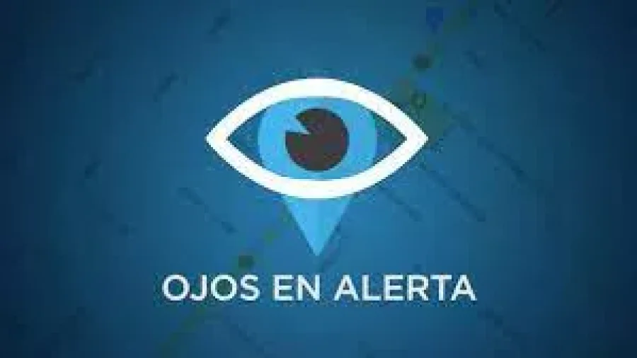 APLICACION.  Un llamado alert&oacute; sobre un robo, y hubo detenciones.