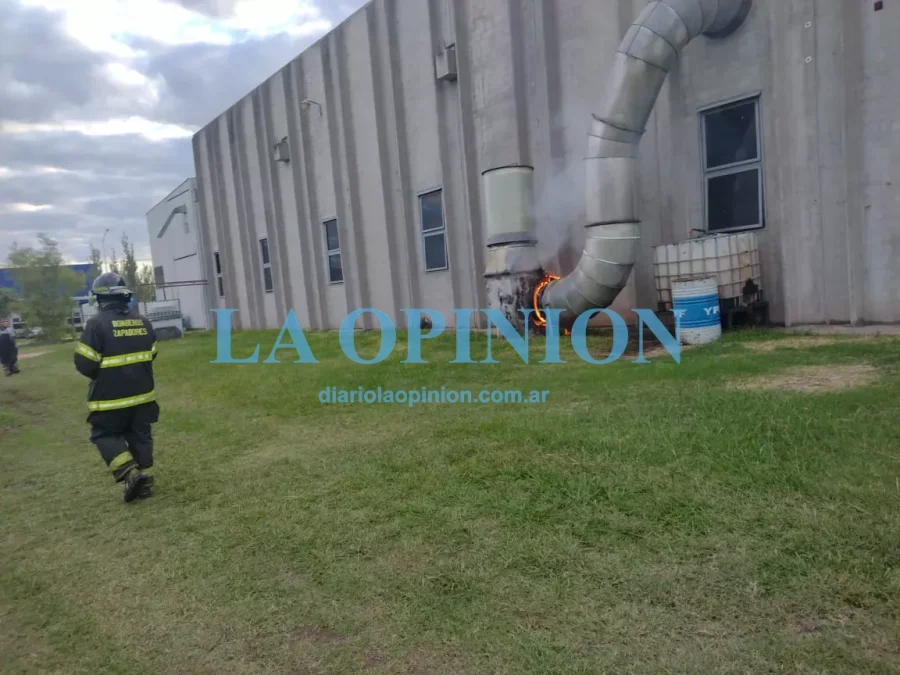 ZONA DEL FUEGO. Se inici&oacute; en el interior de una chimenea.
