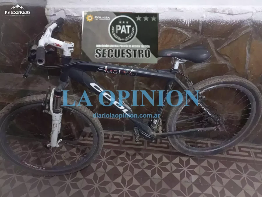 ABANDONADA. La Polic&iacute;a la secuestr&oacute;. tras la huida de quien la manejaba.
