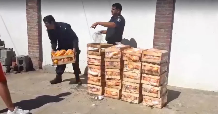 IMAGEN ARCHIVO. CAJONES CON POLLOS. Elementos de este tipo fueron robados en esta ciudad.