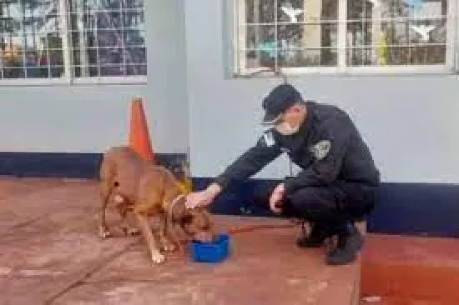 IMAGEN INTERNET. ATENCION. Le fue brindada por personal policial.
