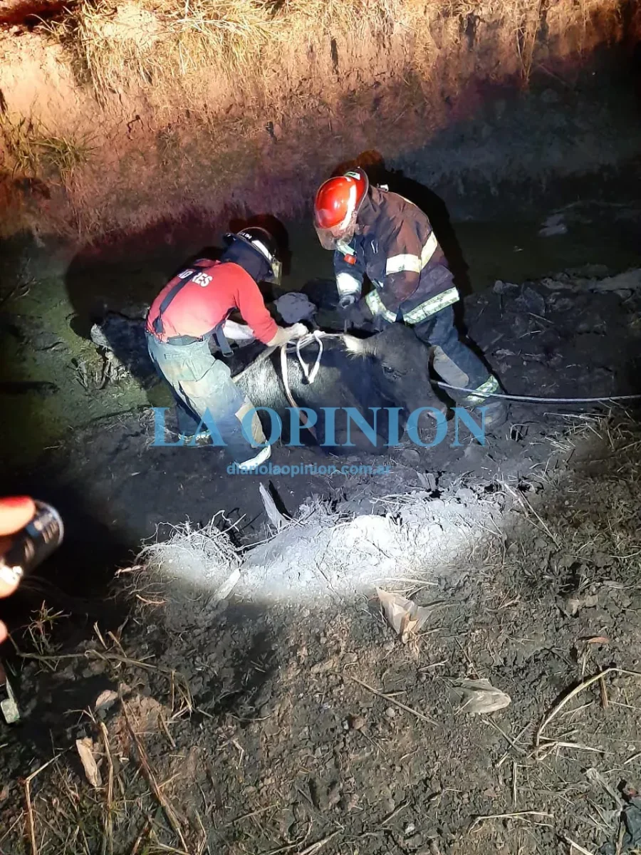 RESCATE. Desde un pozo con agua.