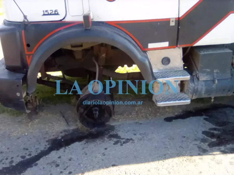 FOTOS DIEGO OLIVA. Lo observado en un sector del transporte.