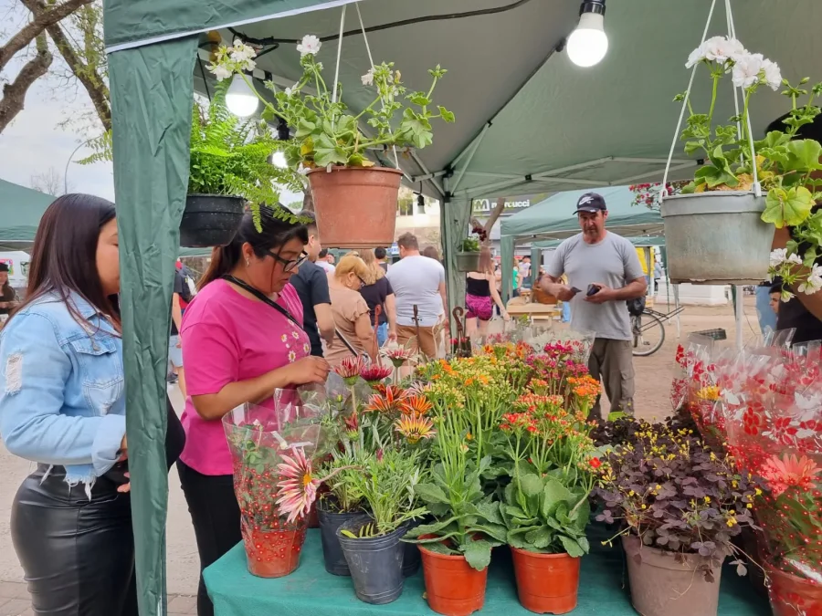 Foto prensa municipal