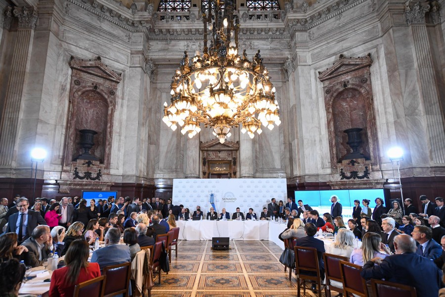 El ministro Francos con los senadores.