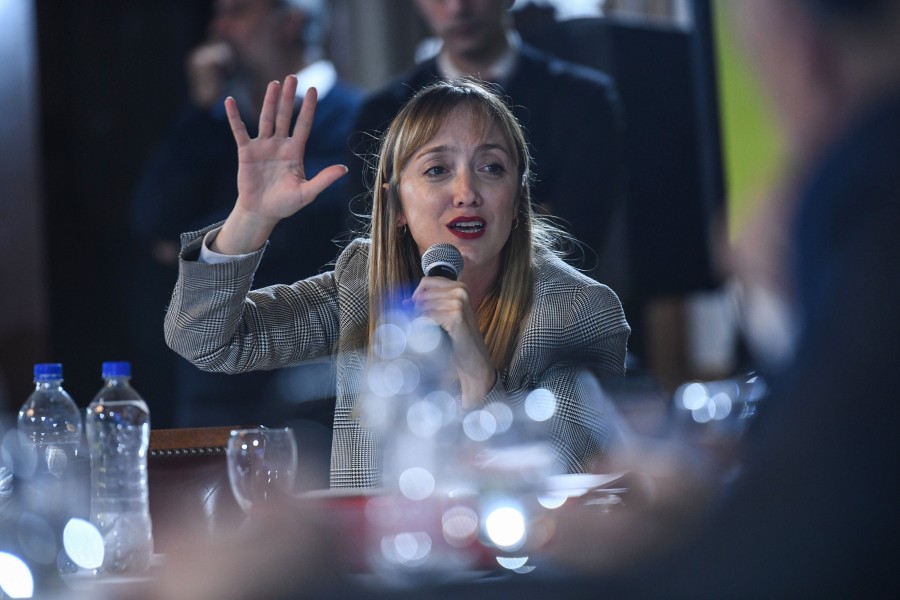 Di Tullio pedir&aacute; la participaci&oacute;n de los gremios en el debate en comisiones.