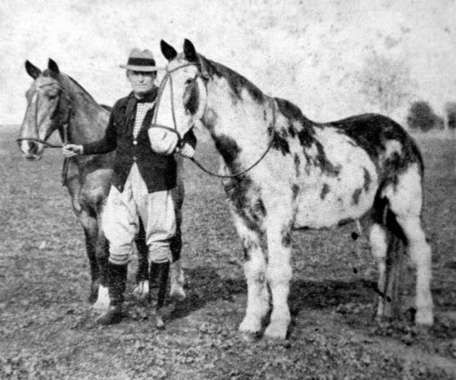 Aime Tschiffely y los caballos Gato y Mancha.
