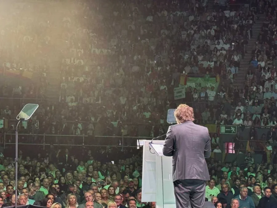 Javier Milei durante su participaci&oacute;n en la cumbre de Vox.