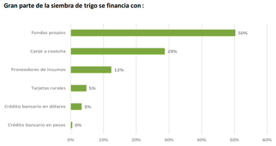 FINANCIACI&Oacute;N. Pensando en la campa&ntilde;a fina, buena parte del sector se financiar&aacute; con recursos propios.