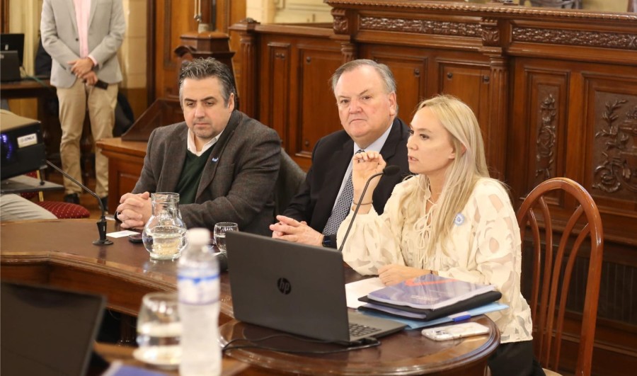 EXPOSICI&Oacute;N. Fue esta ma&ntilde;ana en el marco de una audiencia p&uacute;blica que se realiz&oacute; en la C&aacute;mara de Senadores de la provincia.