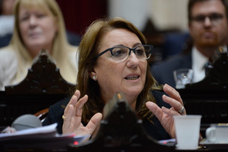 La diputada nacional M&oacute;nica Fein preside el Partido Socialista de la Argentina.