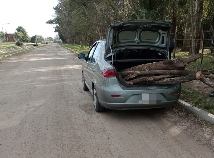 El inescrupuloso sujeto se aprovision&oacute; de le&ntilde;a del bosque nativo y educativo del espacio verde de la ciudad.