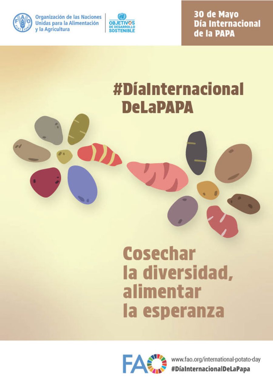 Es uno de los cultivos m&aacute;s importantes del mundo.