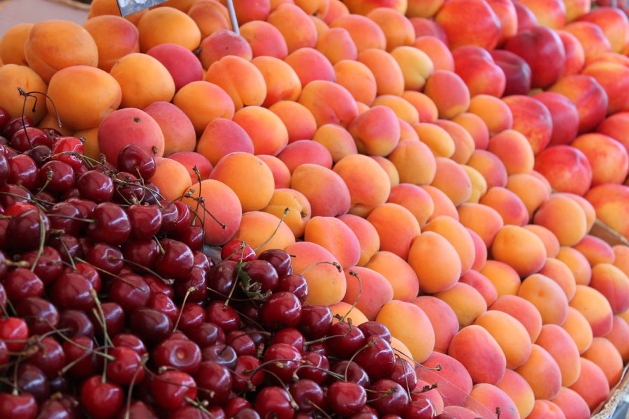UNA BUENA. El volumen exportado volvi&oacute; a crecer y el complejo frut&iacute;cola fue uno de los m&aacute;s destacados.