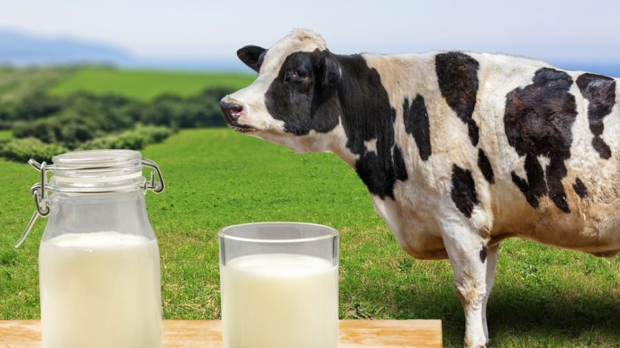 Mastellone Hnos. aportar&aacute; donativos a la Red de Bancos de Alimentos.
