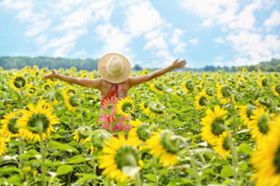 La cercan&iacute;a del verano distingue a la efem&eacute;ride.