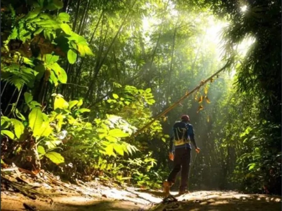 METODOLOG&Iacute;A. La Naturaleza y el capital humano forman una unidad conceptual para calcular la riqueza de un pa&iacute;s, seg&uacute;n el Banco Mundial.
