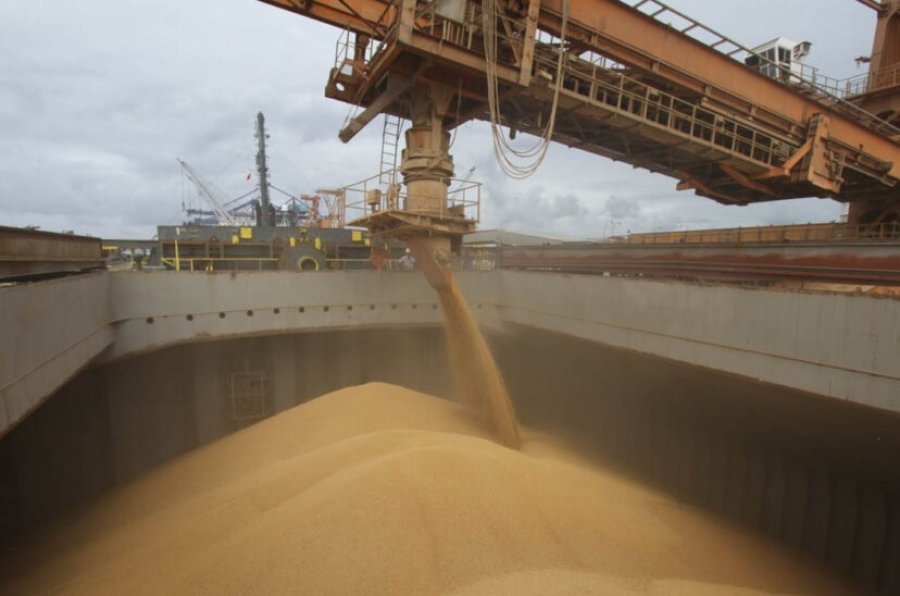 EXPORTACIONES. El complejo agroindustrial granario es el principal ingreso de divisas del pa&iacute;s.