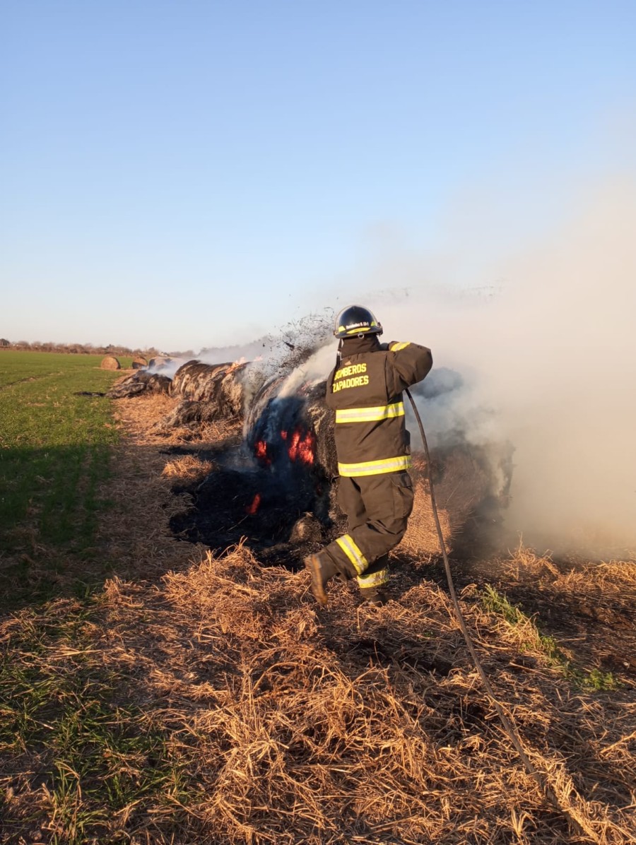 Resultaron da&ntilde;ados 80 rollos de pasturas secas utilizadas en la alimentaci&oacute;n de animales vacunos.